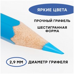 Карандаши акварельные Гамма "Лицей", 36цв., шестигранные, заточен., с кистью, картон. упаковка, европодвес Карандаши акварельные Гамма "Лицей", 36цв., шестигранные, заточен., с кистью, картон. упаковка, европодвес - фото 5
