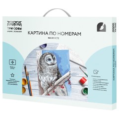 Картина по номерам на холсте ТРИ СОВЫ "Белая сова", 30*40, с акриловыми красками и кистями Картина по номерам на холсте ТРИ СОВЫ "Белая сова", 30*40, с акриловыми красками и кистями - фото 2