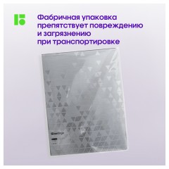 Папка с 40 вкладышами Berlingo "Metallic" А4, 24мм, 1000мкм, серебряный металлик, с внутр. карманом Папка с 40 вкладышами Berlingo "Metallic" А4, 24мм, 1000мкм, серебряный металлик, с внутр. карманом - фото 10