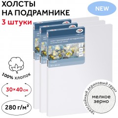 Набор холстов на подрамнике Гамма "Студия", 3шт., 30*40см, 100% хлопок, 280г/м2, мелкое зерно - фото 2