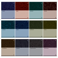 Комплект (12 шт.) предметных тетрадей 48л. BG "Single colour", эконом - фото 2