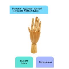 Манекен художественный "рука" Гамма "Студия", мужская правая, деревянный, 30см Манекен художественный "рука" Гамма "Студия", мужская правая, деревянный, 30см - фото 2