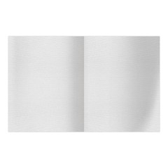 Дневник 1-11 кл. 48л. ЛАЙТ BG "Coral", матовая ламинация, тиснение фольгой - фото 4