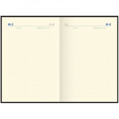 Ежедневник недатированный, А5, 160л., кожа, Delucci, фактурная кожа, золот. срез, черный - фото 6