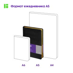 Ежедневник недатированный, А5, 160л., кожзам, Berlingo "xGold", зол. срез, черный Ежедневник недатированный, А5, 160л., кожзам, Berlingo "xGold", зол. срез, черный - фото 9