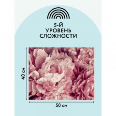 Картина по номерам на холсте ТРИ СОВЫ "Нежные пионы", 40*50, с акриловыми красками и кистями Картина по номерам на холсте ТРИ СОВЫ "Нежные пионы", 40*50, с акриловыми красками и кистями - фото 3