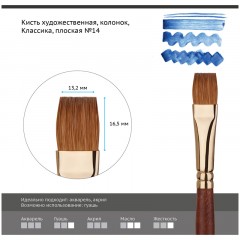 Кисть художественная колонок Гамма "Классика", плоская №14 Кисть художественная колонок Гамма "Классика", плоская №14 - фото 2
