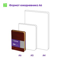 Ежедневник недатированный, А6, 160л., кожзам, Berlingo "xGold", зол. срез, коричневый Ежедневник недатированный, А6, 160л., кожзам, Berlingo "xGold", зол. срез, коричневый - фото 8