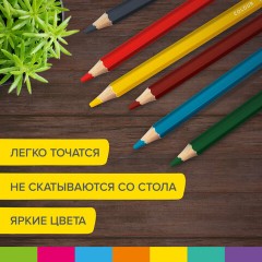 Карандаши цветные утолщенные BRAUBERG KIDS, 6 цветов, шестигранные, грифель 5 мм, натуральное дерево, 181877 Карандаши цветные утолщенные BRAUBERG KIDS, 6 цветов, шестигранные, грифель 5 мм, натуральное дерево, 181877 - фото 7