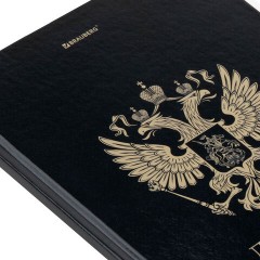 Дневник 1-11 класс 40 л., твердый, BRAUBERG, глянцевая ламинация, "Герб", 107598 - фото 3