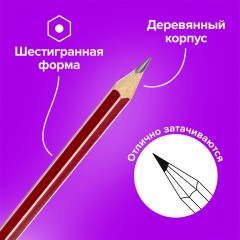 Карандаши чернографитные BRAUBERG НАБОР 12 шт., "ZTX", HB, с резинкой, красный корпус, картонная упаковка, 180671 Карандаши чернографитные BRAUBERG НАБОР 12 шт., "ZTX", HB, с резинкой, красный корпус, картонная упаковка, 180671 - фото 10