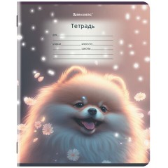 Тетрадь 12 л. BRAUBERG, косая линия, обложка картон, ЗВЕРУШКИ, 107289 Тетрадь 12 л. BRAUBERG, косая линия, обложка картон, ЗВЕРУШКИ, 107289 - фото 6