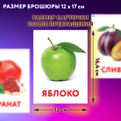 Карточки Домана, 8 развивающих брошюр по методике ГЛЕНА ДОМАНА, 145 изображений, ЮНЛАНДИЯ, 691022 Карточки Домана, 8 развивающих брошюр по методике ГЛЕНА ДОМАНА, 145 изображений, ЮНЛАНДИЯ, 691022 - фото 14