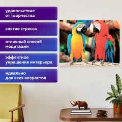 Картина стразами (алмазная мозаика) 40х50 см, ОСТРОВ СОКРОВИЩ "Попугаи", без подрамника, 662413 Картина стразами (алмазная мозаика) 40х50 см, ОСТРОВ СОКРОВИЩ "Попугаи", без подрамника, 662413 - фото 13