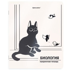 Тетради предметные, КОМПЛЕКТ 12 ПРЕДМЕТОВ 48 л., пластиковая обложка, BRAUBERG "КОТ-НЕПОСЕДА", 405542 - фото 5