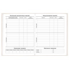 Дневник 5-11 класс 48 л., твердый, BRAUBERG, выборочный лак, с подсказом, "Кот-Непоседа", 107616 - фото 8