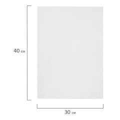 Холсты на картоне НАБОР 10 штук (30х40 см), хлопок, грунт, 280 г/м2, BRAUBERG ART CLASSIC, 192659 - фото 2