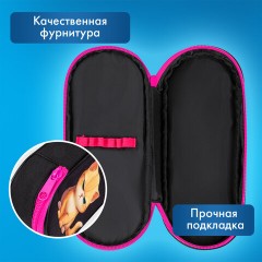 Пенал-футляр BRAUBERG, 1 отделение, органайзер, полиэстер, 22x9х5 см, "Angry kitty", 273566 - фото 8