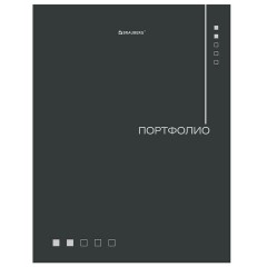 Папка-портфолио универсальная, 4 кольца, 20 файлов, 7БЦ матовая, BRAUBERG "Minimalism", 117553 - фото 4