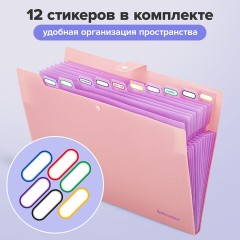 Папка-органайзер на кнопке 12 отделений, BRAUBERG "Extra", А4, персиковая с лавандовым, 271931 Папка-органайзер на кнопке 12 отделений, BRAUBERG "Extra", А4, персиковая с лавандовым, 271931 - фото 11