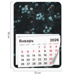 Календарь отрывной на магните на 2026 г., BRAUBERG, 130х180 мм, склейка, "Цветы", 117293 Календарь отрывной на магните на 2026 г., BRAUBERG, 130х180 мм, склейка, "Цветы", 117293 - фото 2