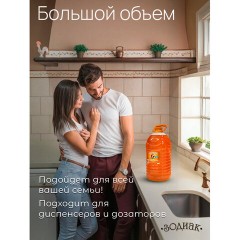 Мыло жидкое 5 л, ЗОДИАК "Персик", ПЭТ, 10285 Мыло жидкое 5 л, ЗОДИАК "Персик", ПЭТ, 10285 - фото 5