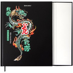 Дневник 1-11 класс 48 л., твердый, BRAUBERG, матовая ламинация, магнитный клапан, закладка-ляссе, с подсказом, "Дракон", 107245 - фото 3