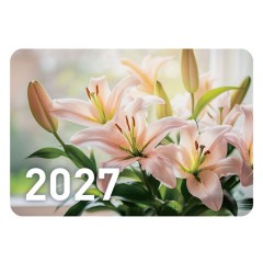 Календарь карманный на 2027 г, BRAUBERG, 64х93 мм, АССОРТИ, 20 дизайнов (60 штук), 118489 - фото 12