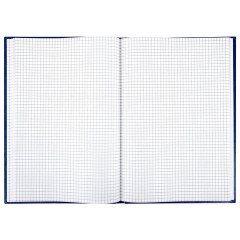 Книга учета 96 л., клетка, твердая, бумвинил, блок офсет, А4 200х290 мм, BRAUBERG, синяя, 130069 Книга учета 96 л., клетка, твердая, бумвинил, блок офсет, А4 200х290 мм, BRAUBERG, синяя, 130069 - фото 3