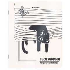 Тетради предметные, КОМПЛЕКТ 12 ПРЕДМЕТОВ 48 л., пластиковая обложка, BRAUBERG "КОТ-НЕПОСЕДА", 405542 - фото 6