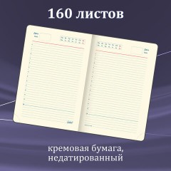 Ручка шариковая GALANT "Arrow Chrome", корпус серебристый, ежедневник недатированный, А5, синий, пакет, 880903 Ручка шариковая GALANT "Arrow Chrome", корпус серебристый, ежедневник недатированный, А5, синий, пакет, 880903 - фото 12