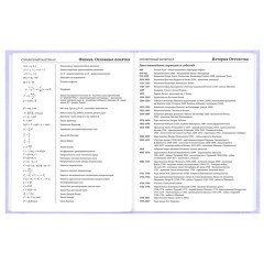 Дневник 5-11 класс 48 л., твердый, BRAUBERG, матовая ламинация, с подсказом, "Классика", 107610 - фото 13