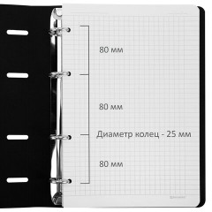 Тетрадь на кольцах БОЛЬШАЯ А4, 240х310 мм, 120 л., под кожу, BRAUBERG VISTA, "Bloom", 405205 - фото 2