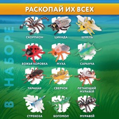Набор для раскопок "Насекомые", 12 видов, карточки, инструменты, BRAUBERG KIDS, 665127 Набор для раскопок "Насекомые", 12 видов, карточки, инструменты, BRAUBERG KIDS, 665127 - фото 14