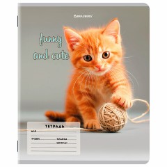 Тетрадь 12 л. BRAUBERG косая линия, обложка картон, CATS AND DOGS, 107288 Тетрадь 12 л. BRAUBERG косая линия, обложка картон, CATS AND DOGS, 107288 - фото 6