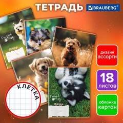 Тетрадь 18 л. BRAUBERG клетка, обложка картон, СОБАЧКИ, 107295 Тетрадь 18 л. BRAUBERG клетка, обложка картон, СОБАЧКИ, 107295 - фото 9