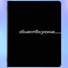 Тетради предметные, КОМПЛЕКТ 12 ПРЕДМЕТОВ, 48 л., обложка картон, BRAUBERG "BLACK", 405164 - фото 2