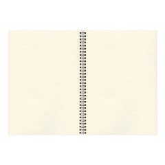 Скетчбук, слоновая кость 150 г/м2, 297х420 мм, 30 л., гребень, BRAUBERG ART CLASSIC, 128946 Скетчбук, слоновая кость 150 г/м2, 297х420 мм, 30 л., гребень, BRAUBERG ART CLASSIC, 128946 - фото 4