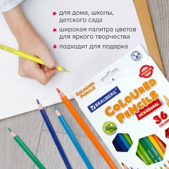 Карандаши цветные BRAUBERG PREMIUM, 36 цветов, шестигранные, грифель 3 мм, 181669 Карандаши цветные BRAUBERG PREMIUM, 36 цветов, шестигранные, грифель 3 мм, 181669 - фото 11