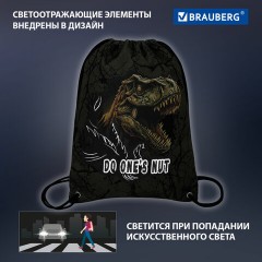 Мешок для обуви BRAUBERG PREMIUM, карман, подкладка, светоотражайка, 43х33 см, Dino attack, 272424 Мешок для обуви BRAUBERG PREMIUM, карман, подкладка, светоотражайка, 43х33 см, Dino attack, 272424 - фото 11
