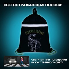 Мешок для обуви BRAUBERG, с петлей, светоотражающая полоса, 2 отделения, 46х36 см, Tyrannosaur, 272399 Мешок для обуви BRAUBERG, с петлей, светоотражающая полоса, 2 отделения, 46х36 см, Tyrannosaur, 272399 - фото 10