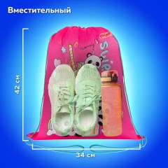 Мешок для обуви ПИФАГОР, 1 отделение, 42х34 см, "Sweet mood", 272384 Мешок для обуви ПИФАГОР, 1 отделение, 42х34 см, "Sweet mood", 272384 - фото 10