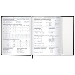 Дневник 1-11 класс 48 л., твердый, BRAUBERG, матовая ламинация, магнитный клапан, закладка-ляссе, с подсказом, "Дракон", 107245 - фото 17