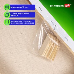 Холсты на подрамнике в коробе НАБОР 4 шт. (40х50 см), 280 г/м2, грунт, 100% хлопок, BRAUBERG ART DEBUT, 192512 Холсты на подрамнике в коробе НАБОР 4 шт. (40х50 см), 280 г/м2, грунт, 100% хлопок, BRAUBERG ART DEBUT, 192512 - фото 4