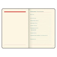 Ежедневник датированный 2026 B6 125х173 мм, GALANT "Vivid", под кожу, серый, 117410 - фото 5