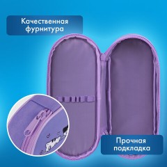 Пенал-футляр BRAUBERG, 1 отделение, органайзер, полиэстер, 22x9х5 см, "Meow", 272312 Пенал-футляр BRAUBERG, 1 отделение, органайзер, полиэстер, 22x9х5 см, "Meow", 272312 - фото 8