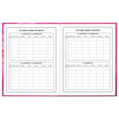 Дневник 1-4 класс 48 л., твердый, ЮНЛАНДИЯ, выборочный лак, с подсказом, "Панда", 107597 - фото 8