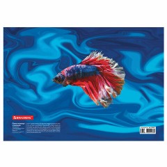 Папка-конверт с кнопкой BRAUBERG "SEA WORLD", А4, 160 мкм, до 100 листов, цветная печать, 228041 - фото 5