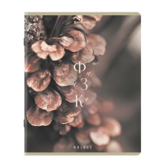 Тетради предметные, КОМПЛЕКТ 12 ПРЕДМЕТОВ 48 л., пластиковая обложка, BRAUBERG "PURE NATURE", 405543 - фото 12