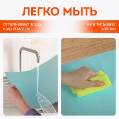 Коврики универсальные 6 шт., 30х45 см, для холодильника, полок, сервировки, бирюзовый, DASWERK, 609606 Коврики универсальные 6 шт., 30х45 см, для холодильника, полок, сервировки, бирюзовый, DASWERK, 609606 - фото 13